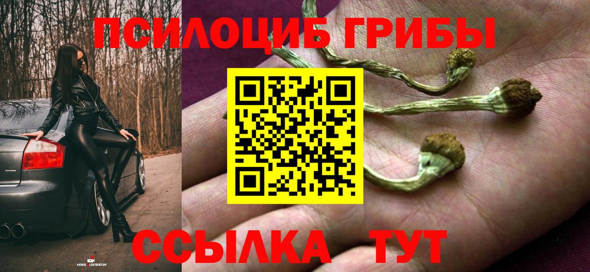 Псилоцибиновые грибы MAGIC MUSHROOMS Зеленокумск